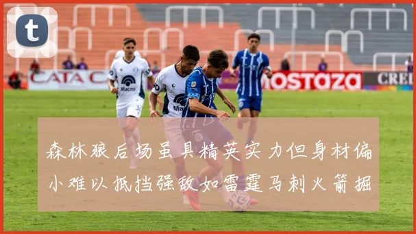 森林狼后场虽具精英实力但身材偏小难以抵挡强敌如雷霆马刺火箭掘金