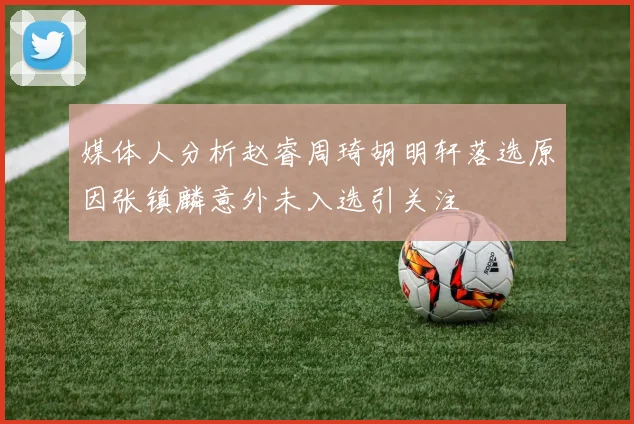 媒体人分析赵睿周琦胡明轩落选原因张镇麟意外未入选引关注