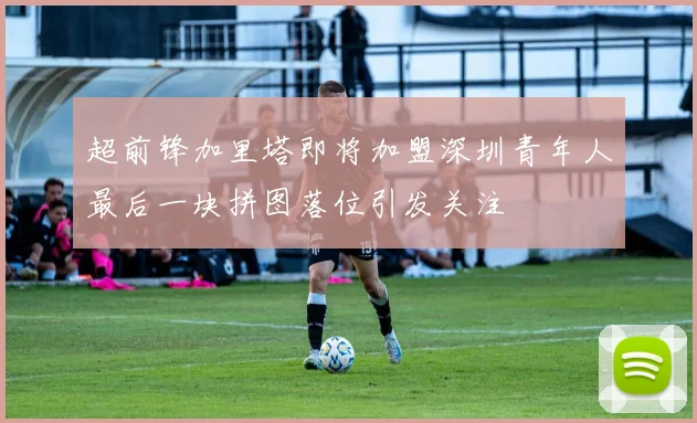超前锋加里塔即将加盟深圳青年人最后一块拼图落位引发关注